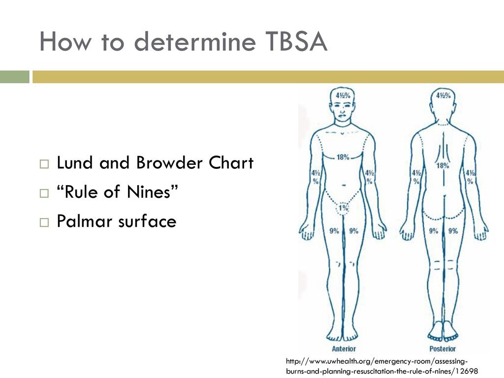 Kelsey Pfeiffenberger Ppt Download