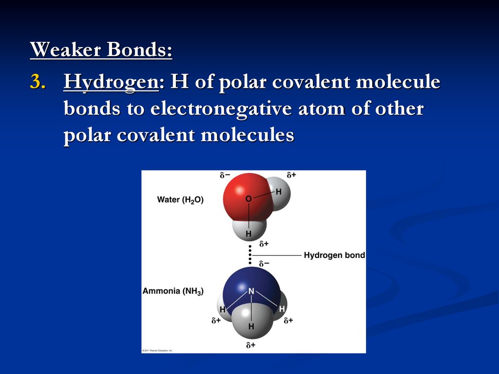 Weaker Bonds: Hydrogen: H of polar covalent molecule bonds to electronegative atom of other polar covalent molecules.