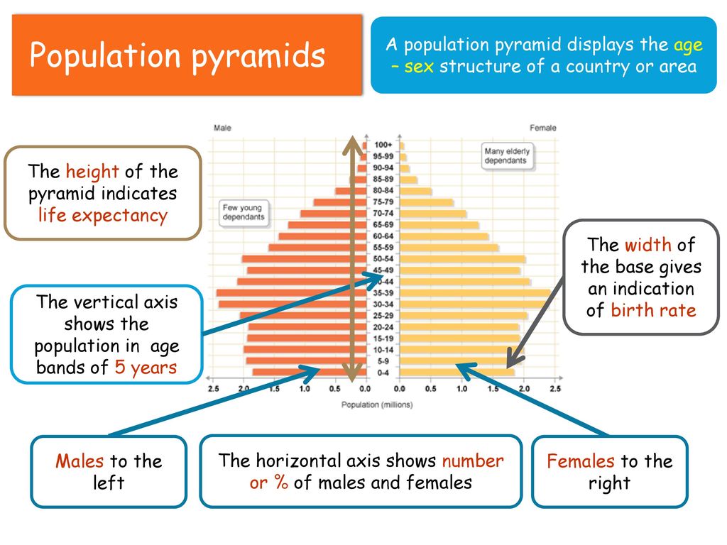 What Do We Mean By Demography Ppt Download