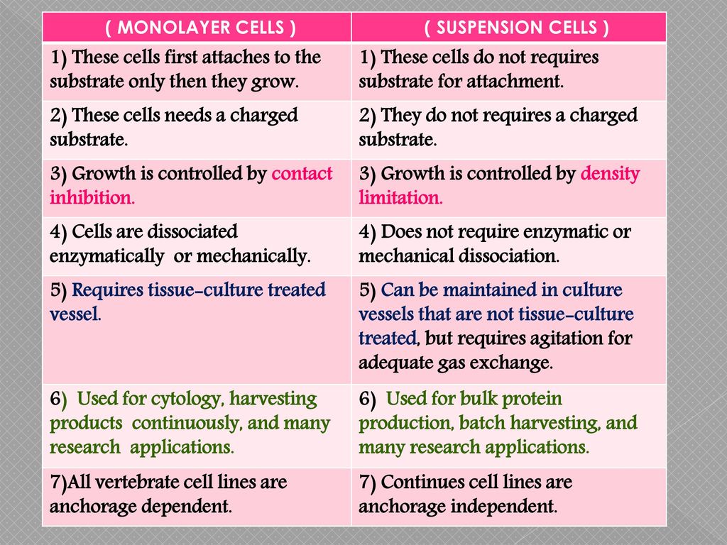 MONOLAYER AND SUSUPENSION CELLS - ppt download