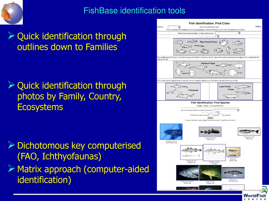 Barcode of Life initiative Fish-BoL Workshop - ppt download