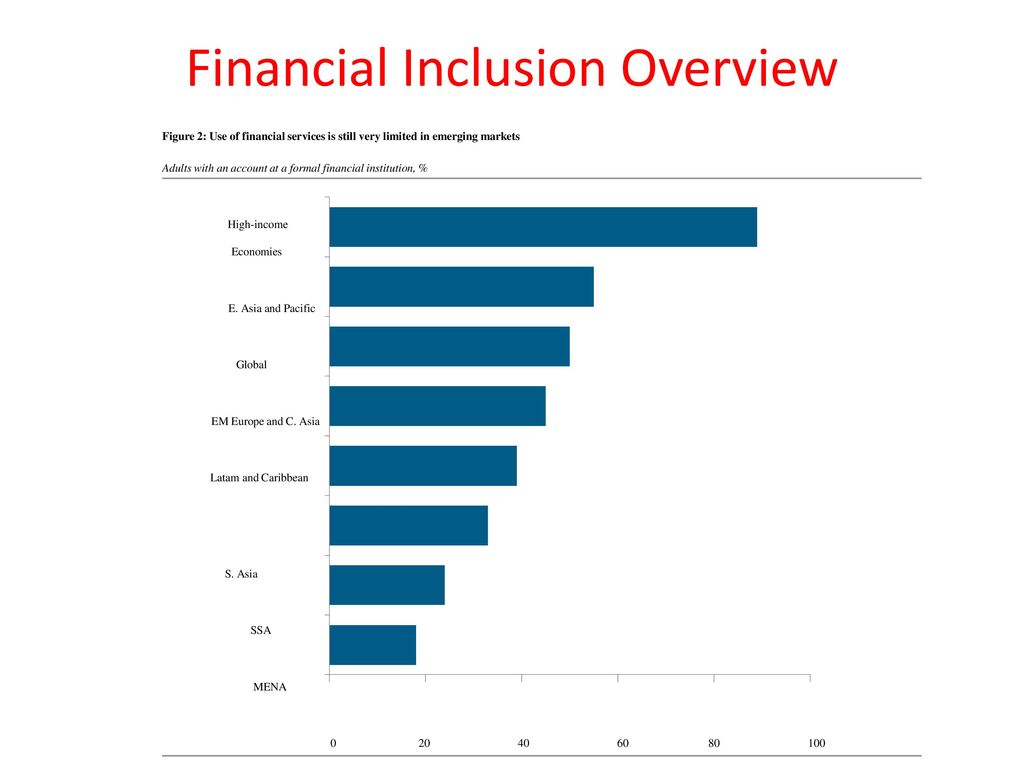 Financial Inclusion Overview