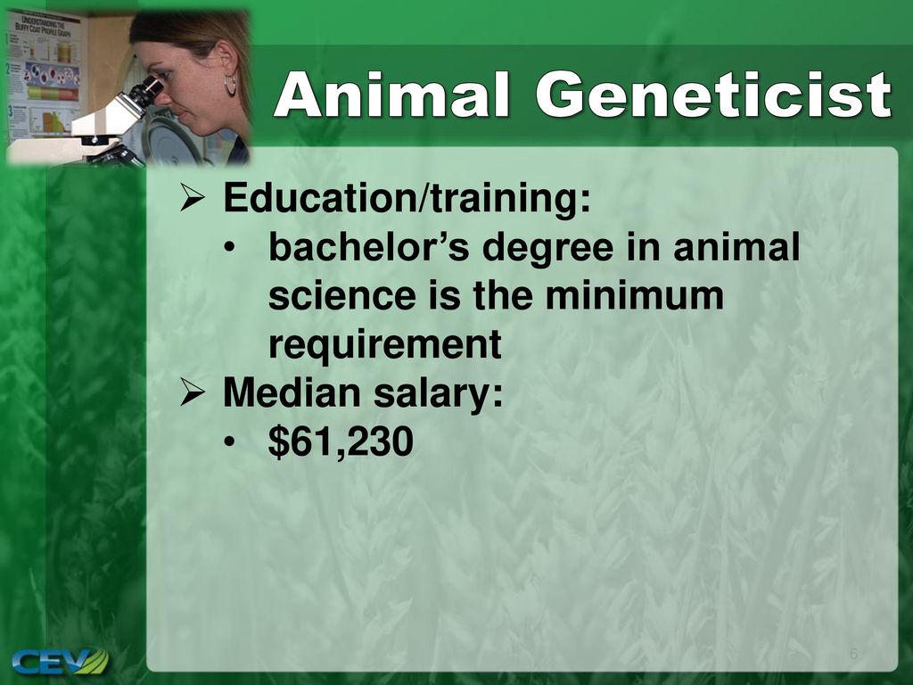 Animal Systems. - ppt download