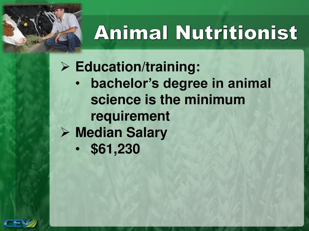 Animal Systems. - ppt download