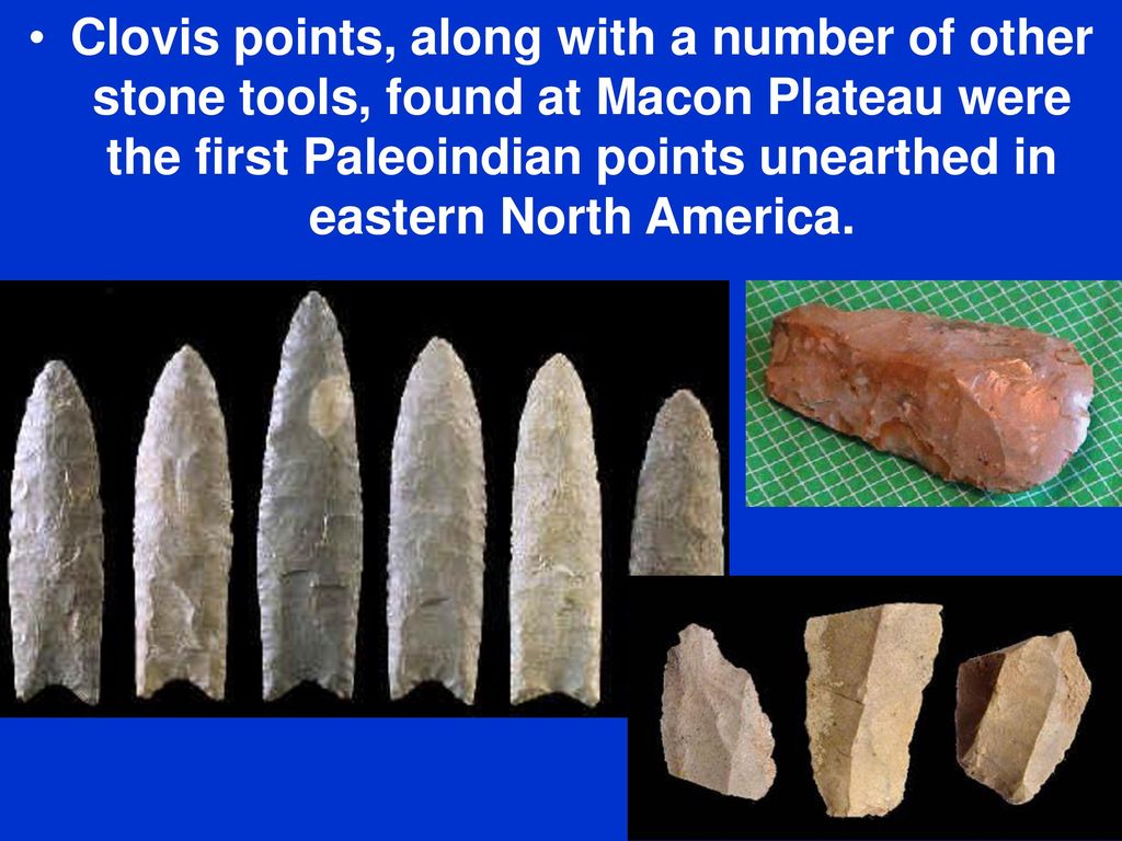 Clovis points, along with a number of other stone tools, found at Macon Plateau were the first Paleoindian points unearthed in eastern North America.