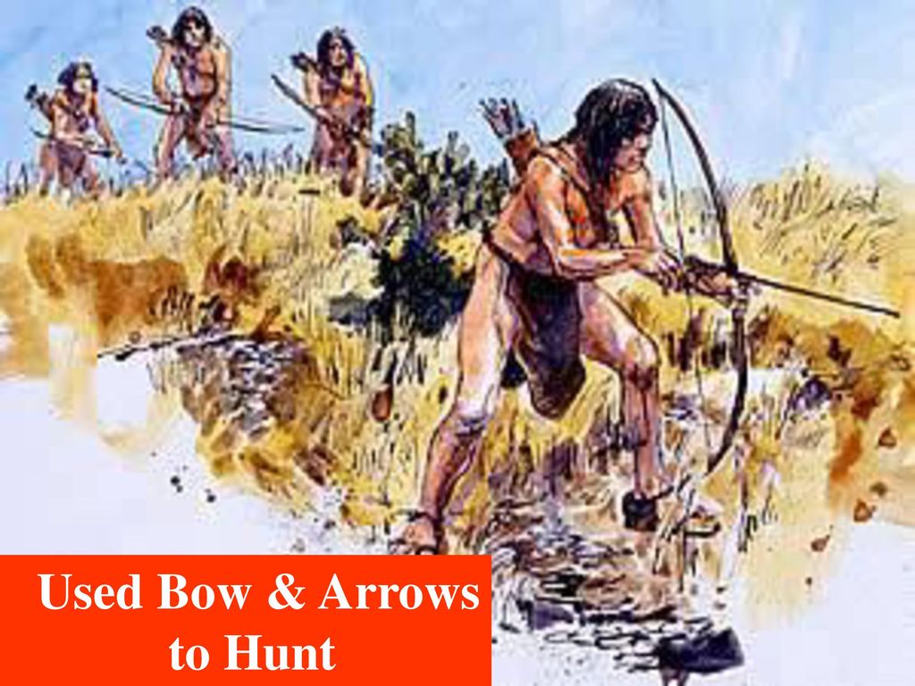 Used Bow & Arrows to Hunt