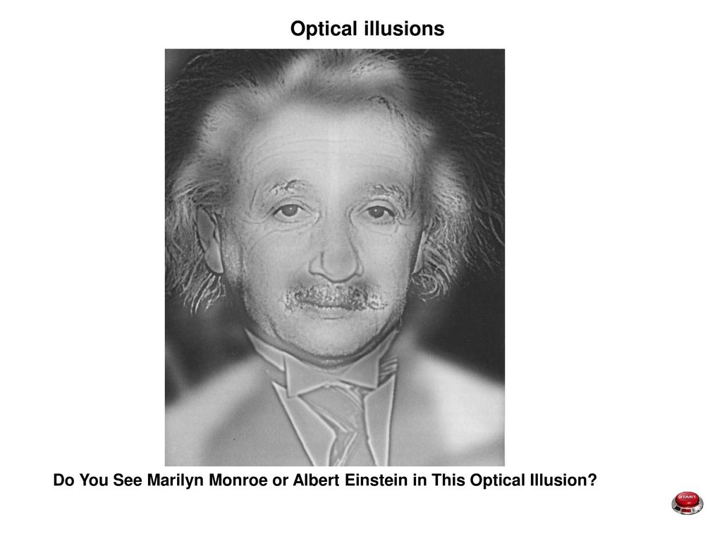 optical illusions what do you see
