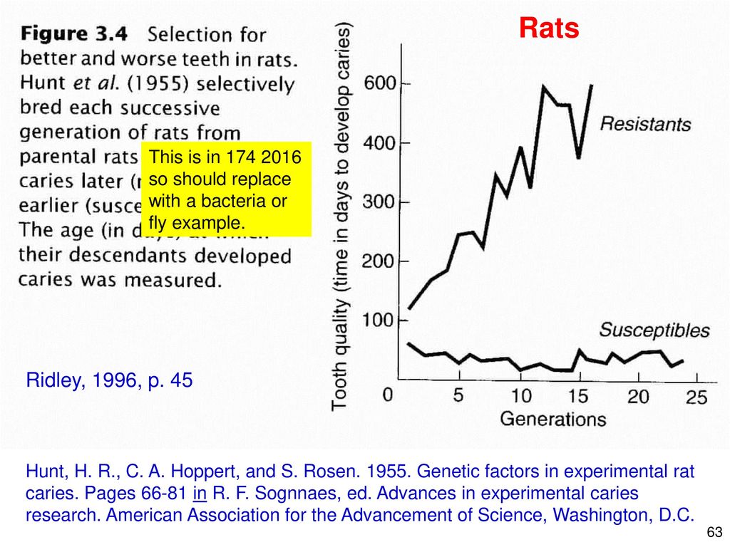 Quantitative Genetics Ppt Download