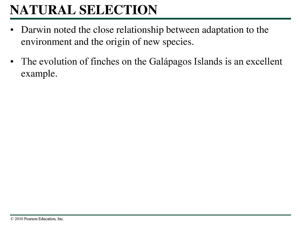 How Populations Evolve - ppt download
