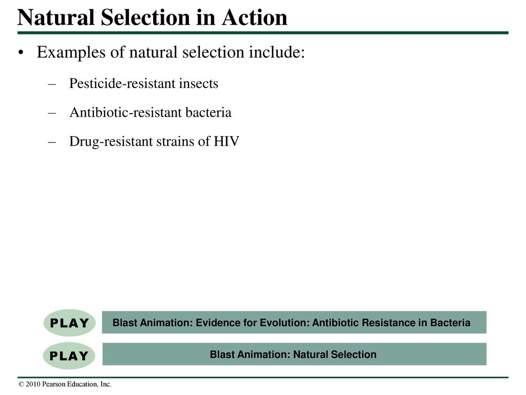 How Populations Evolve - ppt download