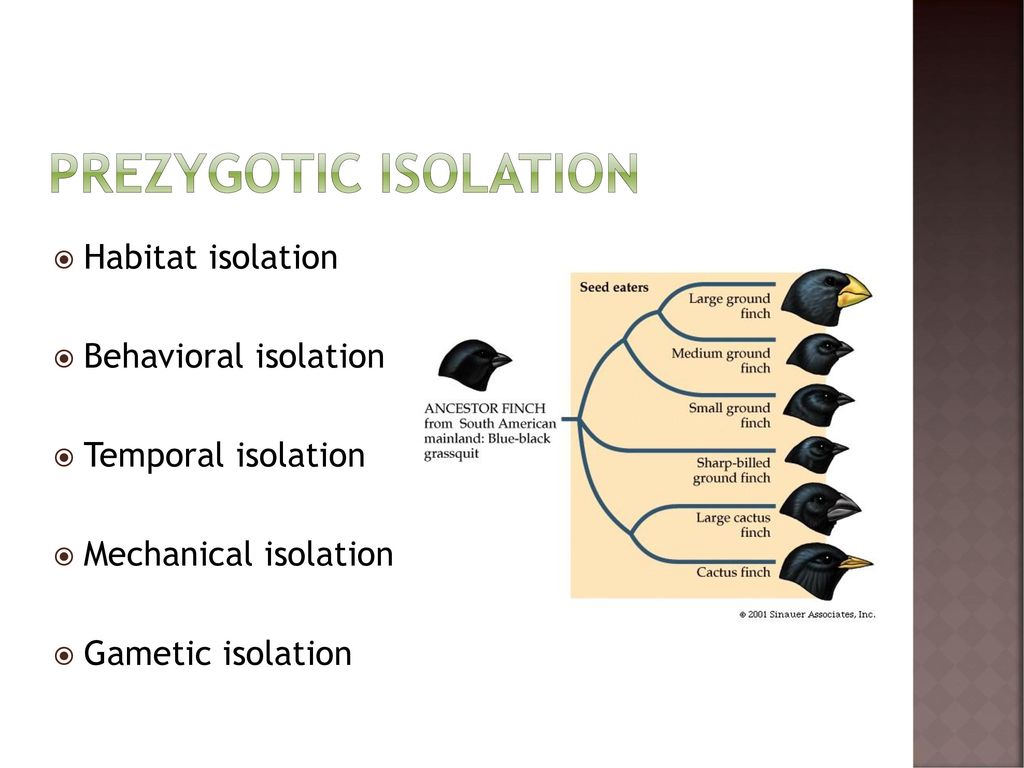 Ns physical science studies ppt download