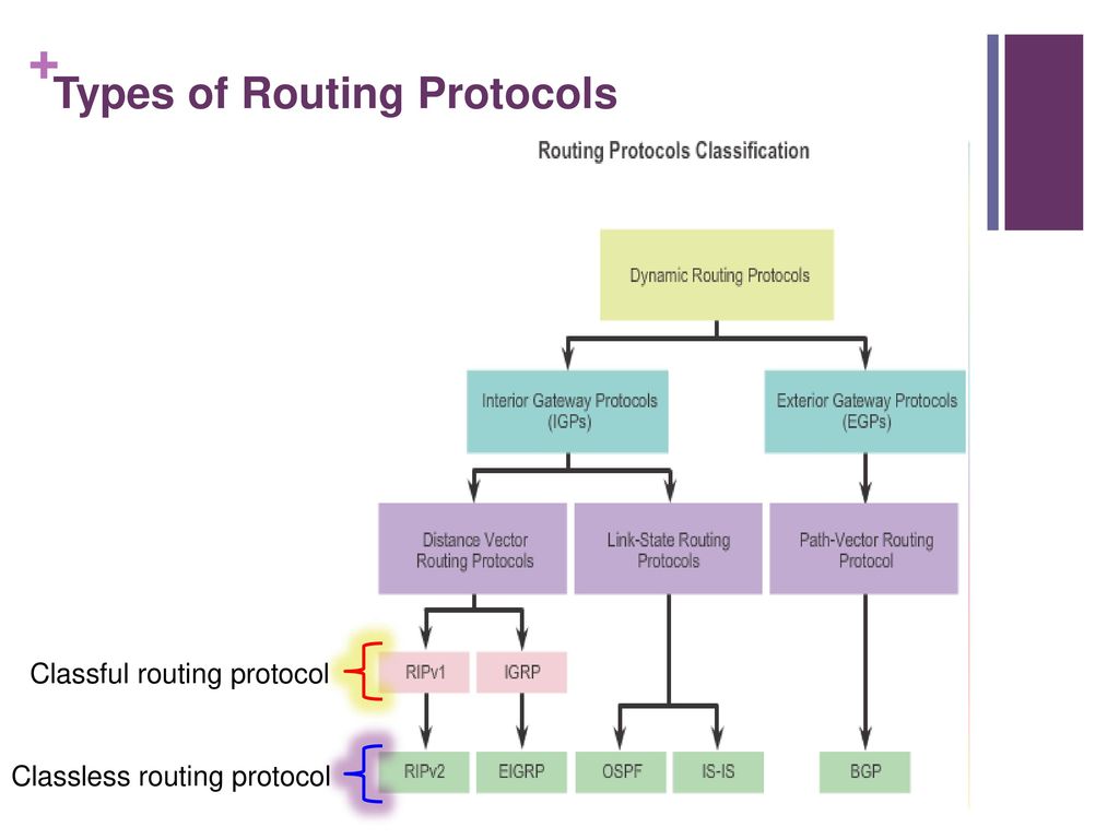 Dynamic routing protocols part2 ppt download