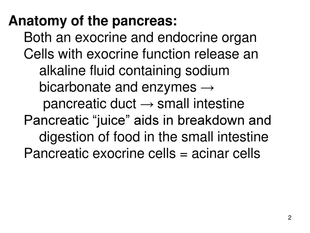 FUNCTION/DYSFUNCTION OF ENDOCRINE PANCREAS - ppt download