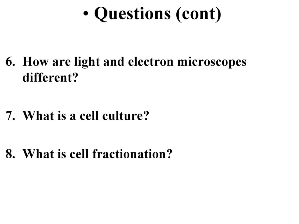 Questions (cont) How are light and electron microscopes different