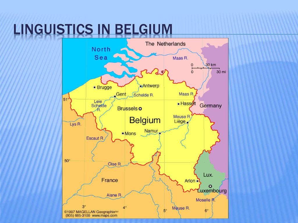 phd in linguistics in belgium