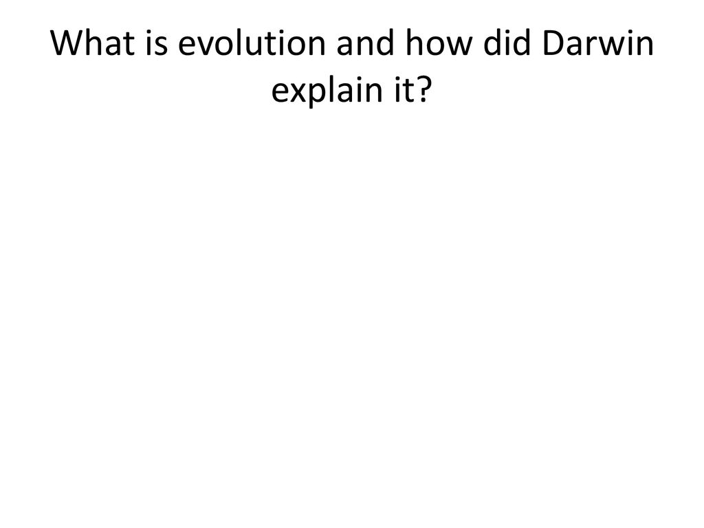 B1 key questions ppt download