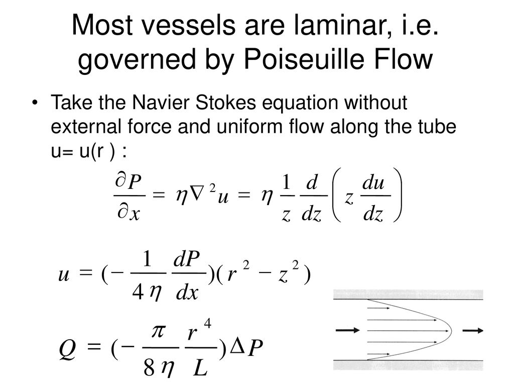 3 2 Allometric Scaling Laws Ppt Download