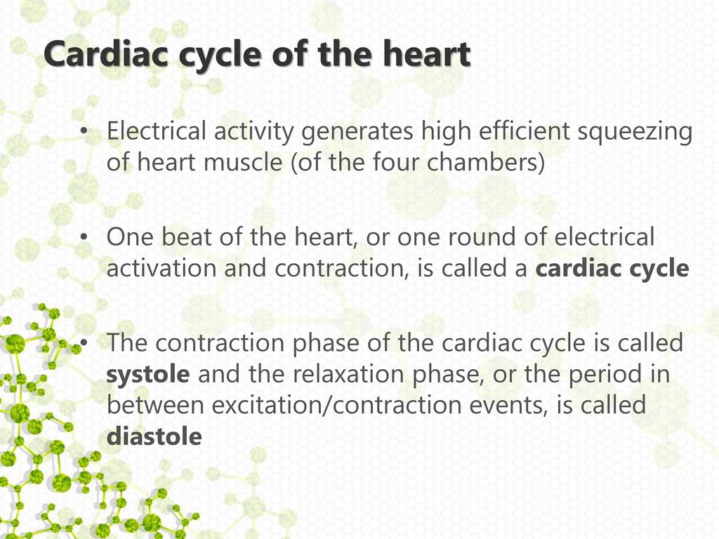 Cardiac cycle of the heart
