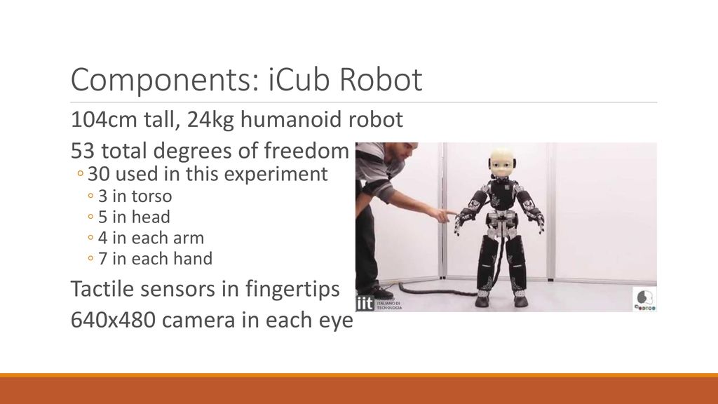 Components: iCub Robot