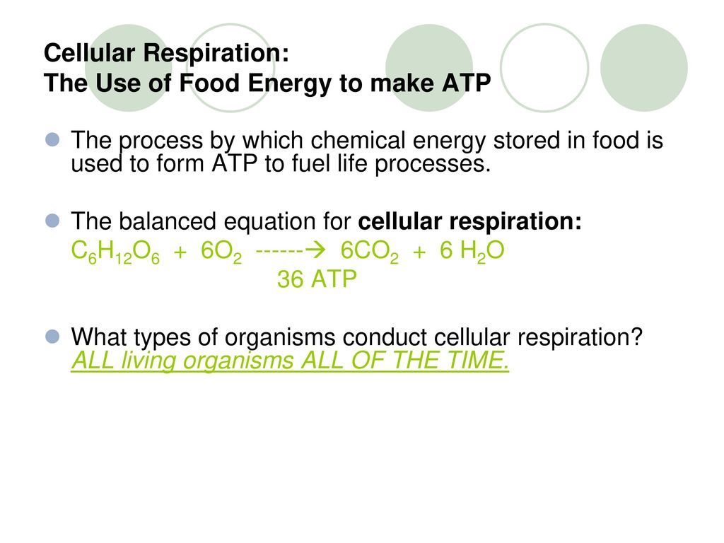 Cellular Metabolism Photosynthesis And Cellular Respiration Ppt Download