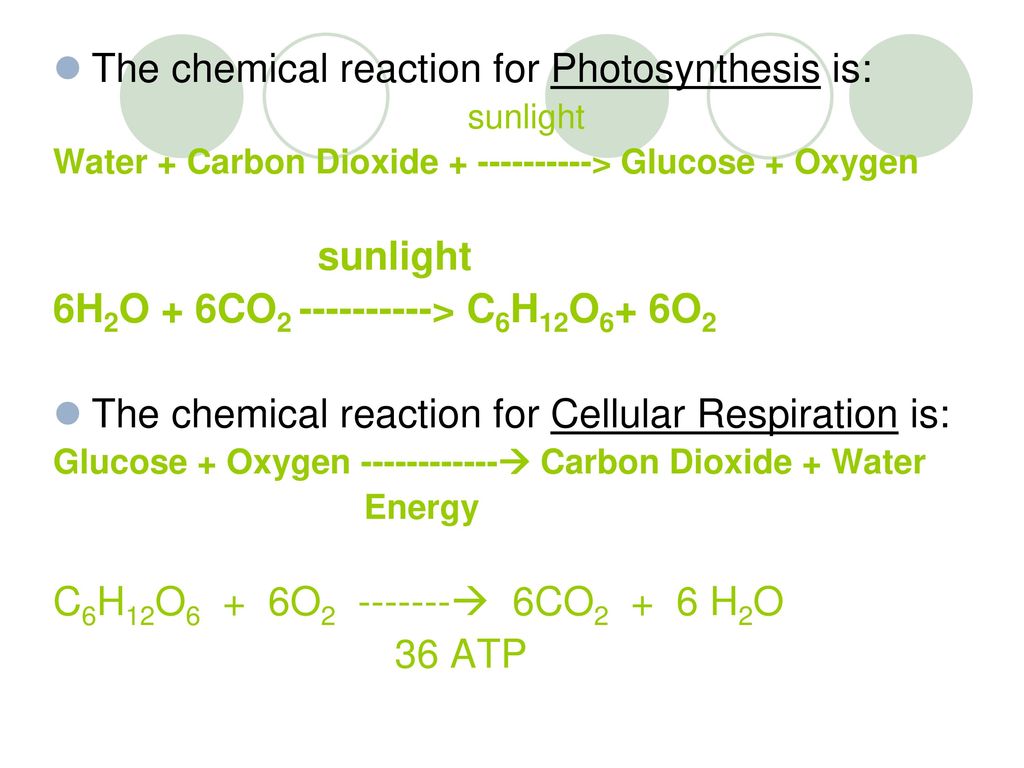 Cellular Metabolism: Photosynthesis and Cellular Respiration - ppt download