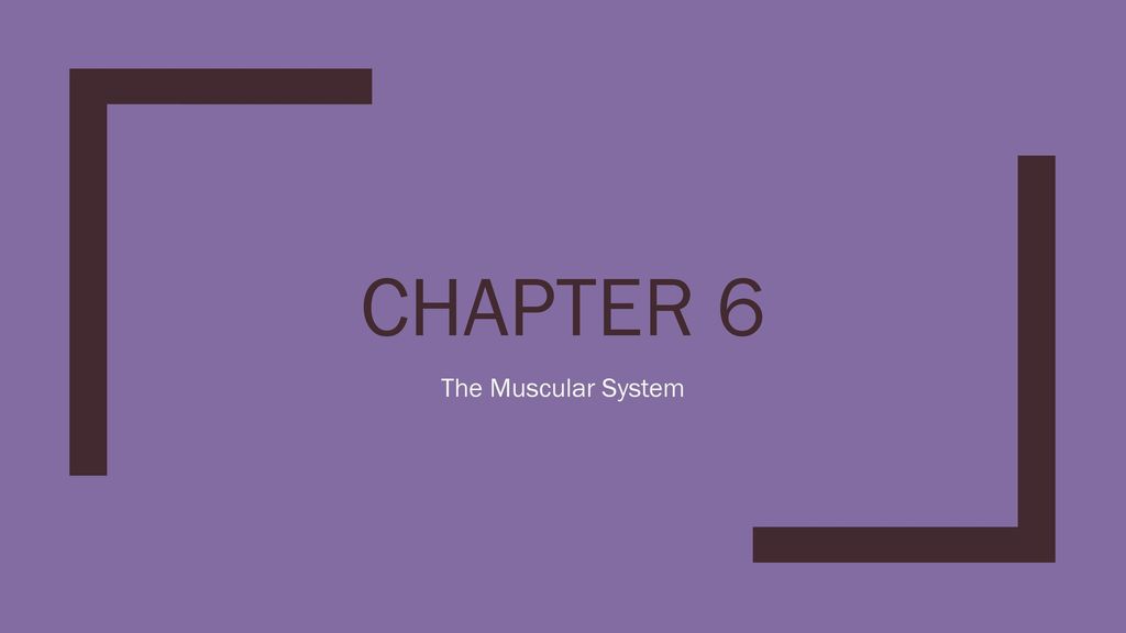 Chapter 6 The Muscular System. - Ppt Download