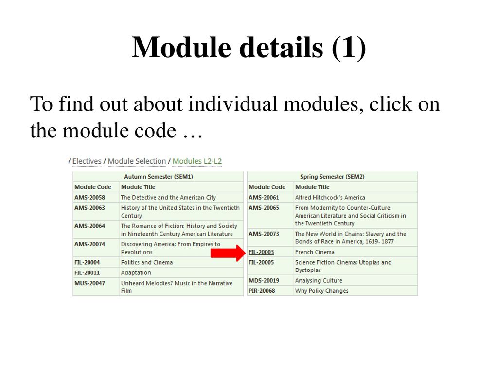 Choosing Modules for the Second and Third Year Summer ppt download
