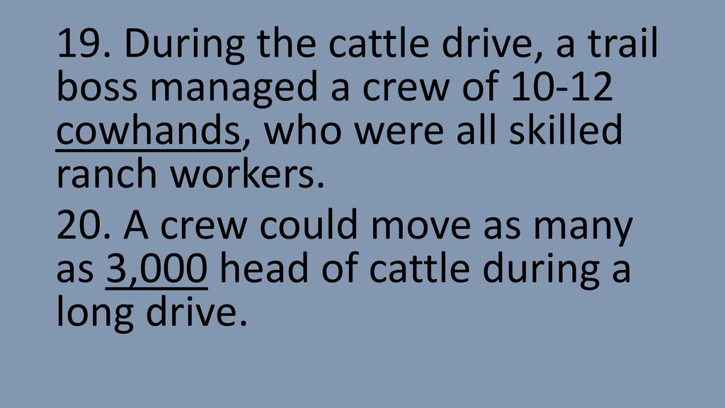 19. During the cattle drive, a trail boss managed a crew of cowhands, who were all skilled ranch workers.
