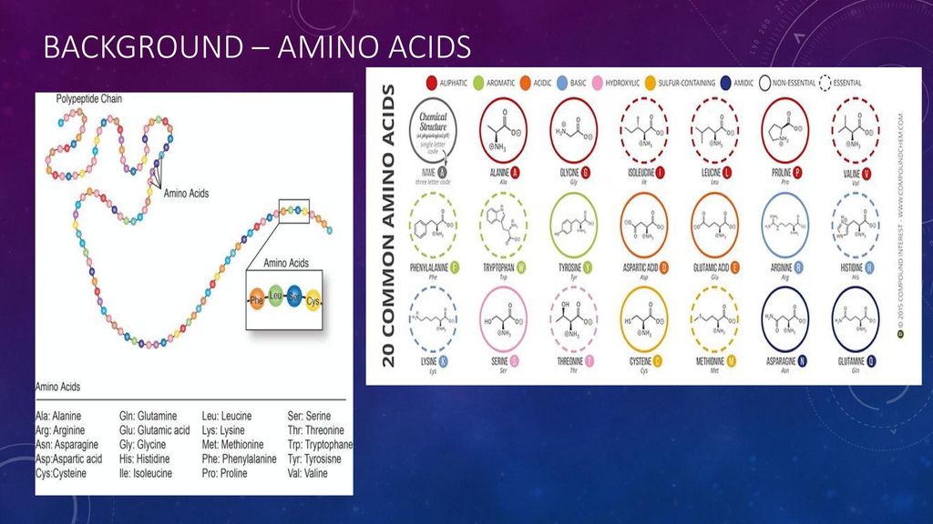 Background – Amino acids