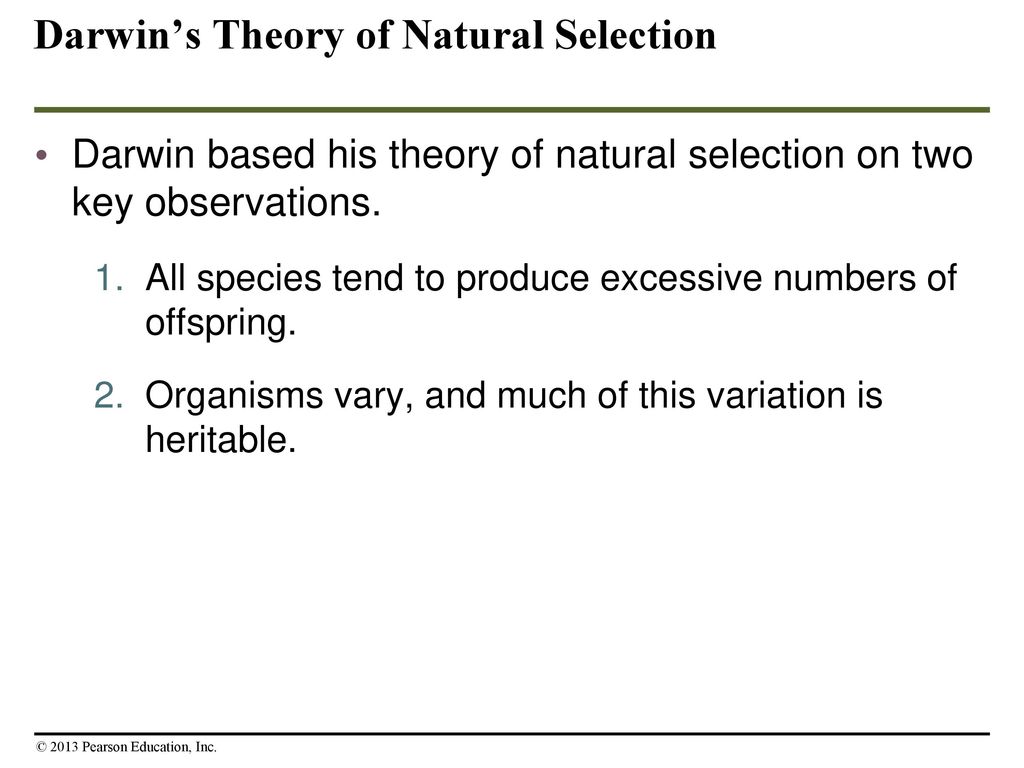 How Populations Evolve - ppt download