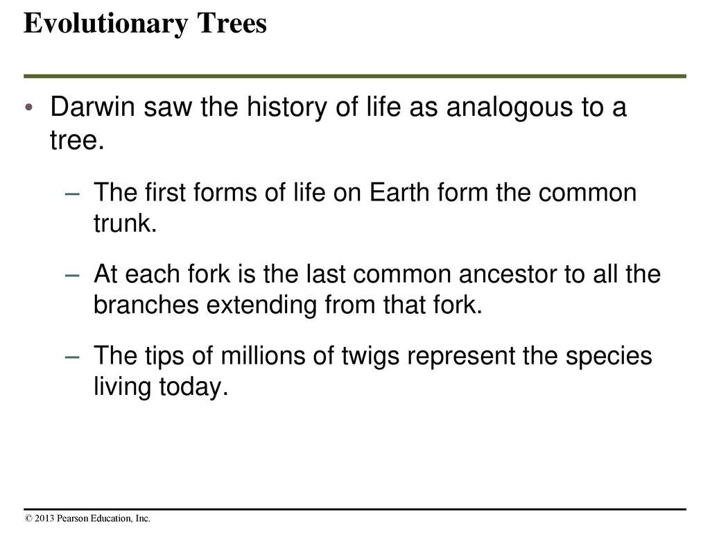 How Populations Evolve - ppt download