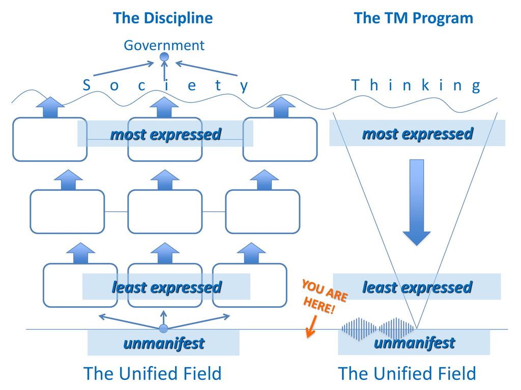 The Unified Field The Unified Field The Discipline The TM Program
