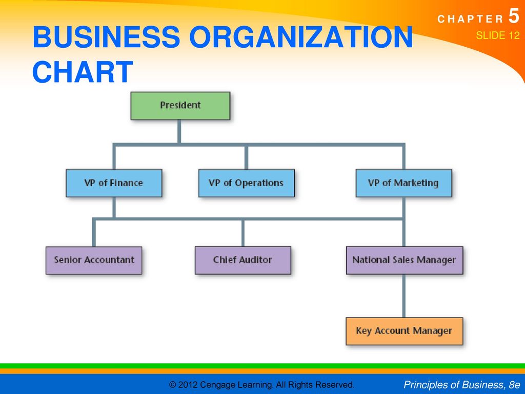 Type Of Business Organization Chart