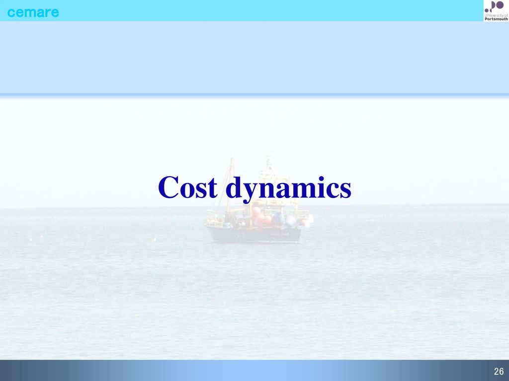 Cost dynamics