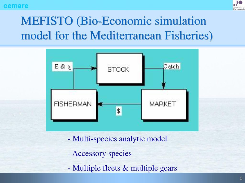 MEFISTO (Bio-Economic simulation model for the Mediterranean Fisheries)