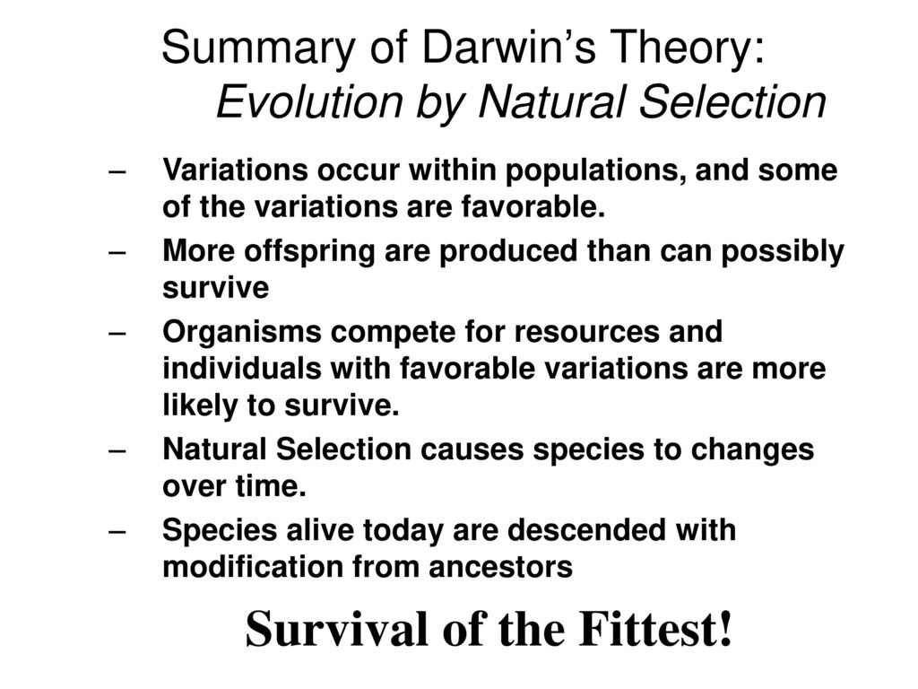 Darwin s theory of evolution ppt download