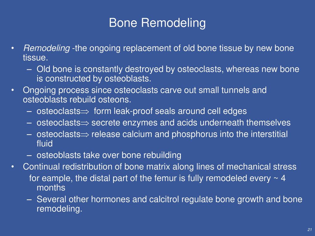Bone Remodeling Remodeling -the ongoing replacement of old bone tissue by new bone tissue.