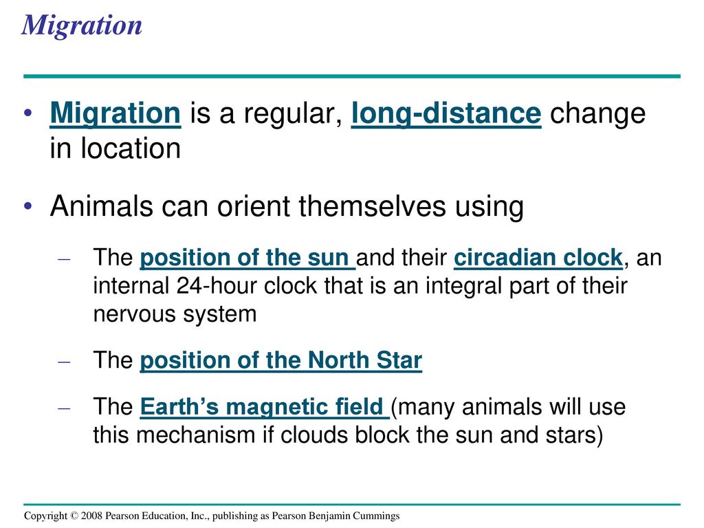 Migration is a regular, long-distance change in location