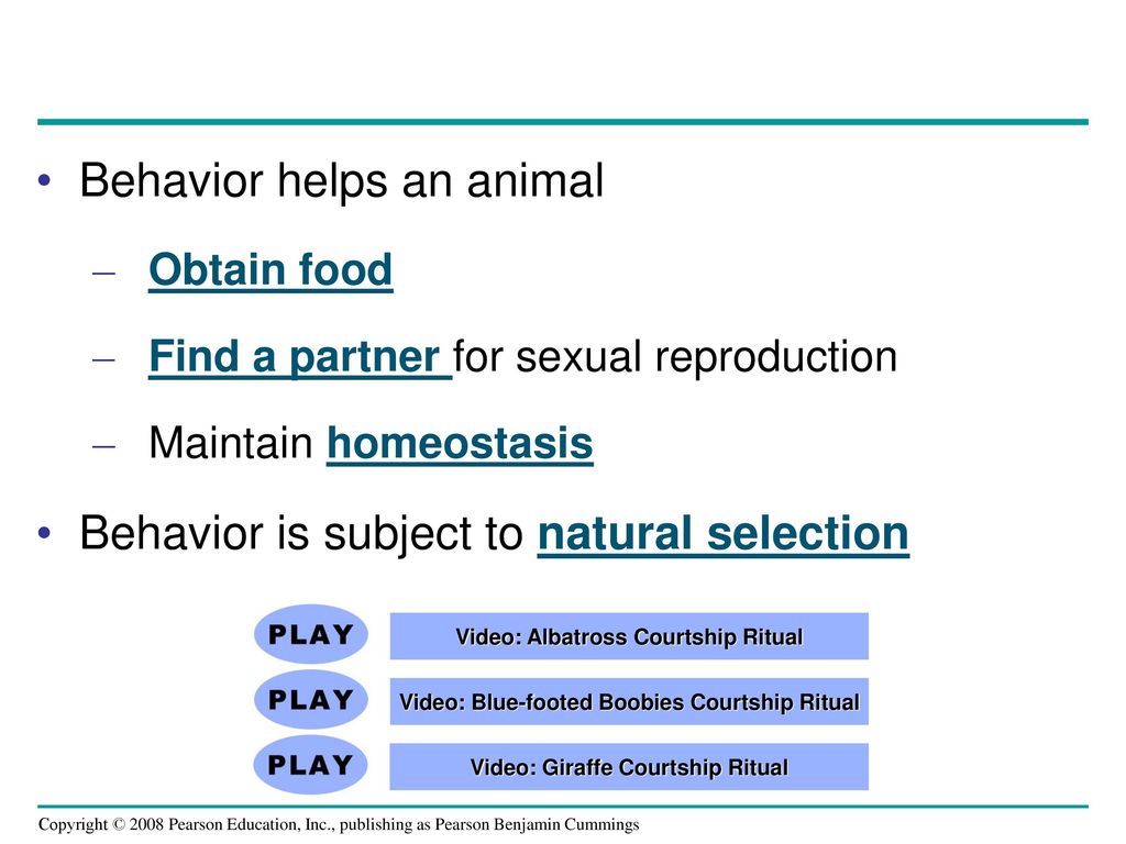 Behavior helps an animal