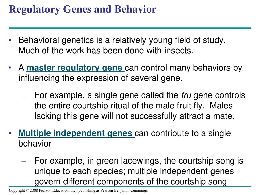 Regulatory Genes and Behavior