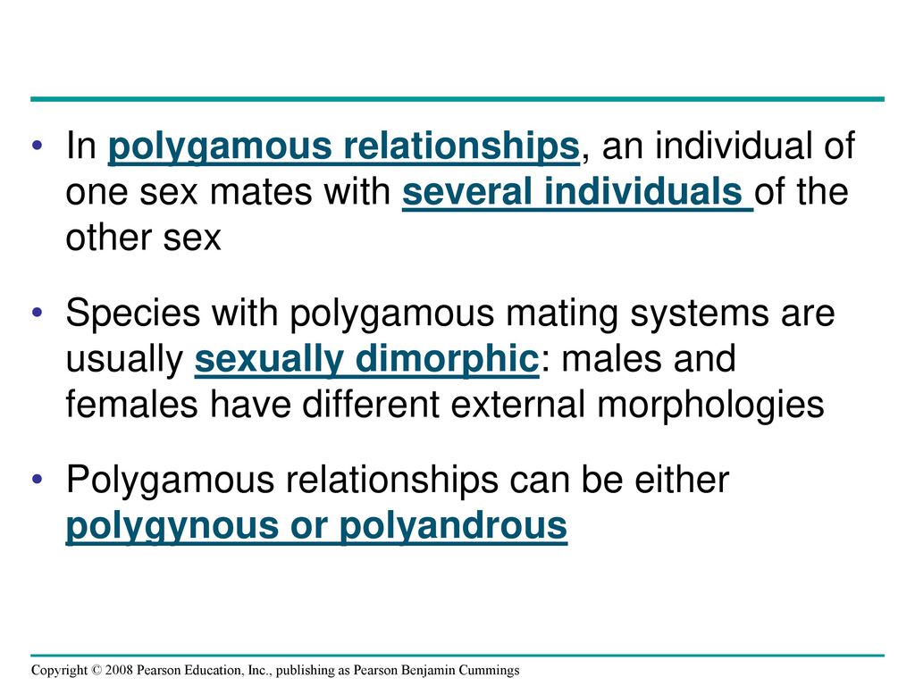 In polygamous relationships, an individual of one sex mates with several individuals of the other sex