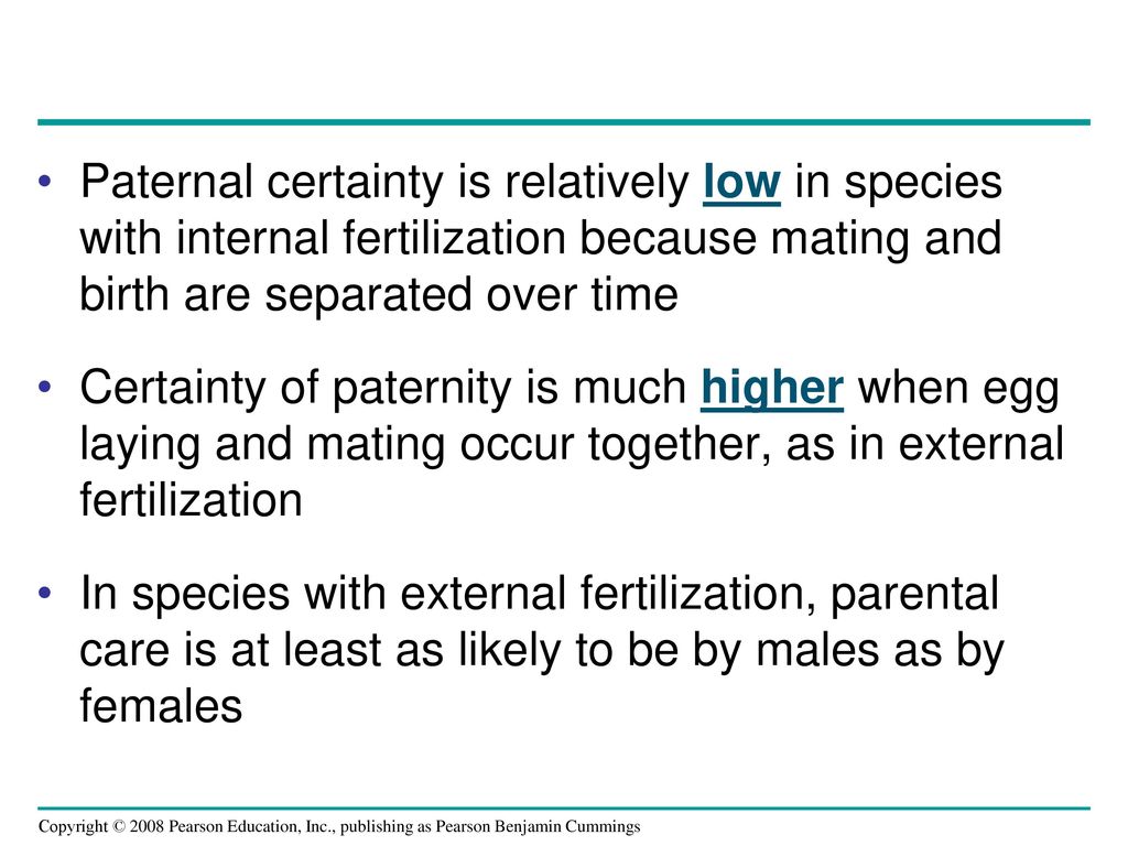 Paternal certainty is relatively low in species with internal fertilization because mating and birth are separated over time