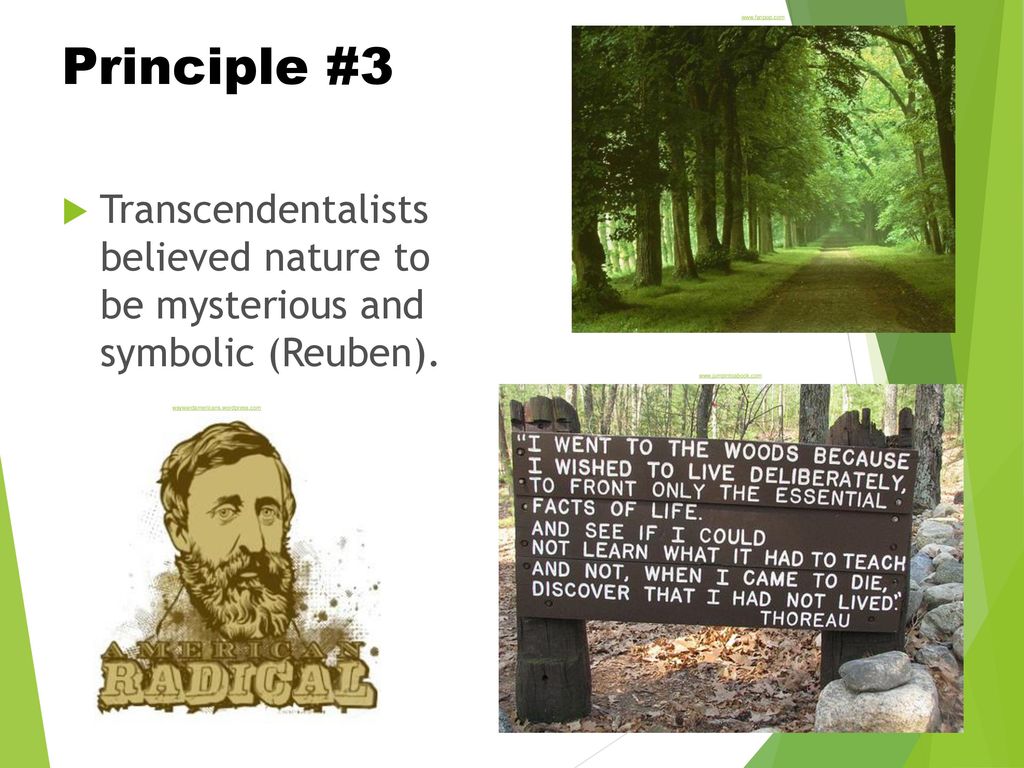 Principle #3. Transcendentalists believed nature to be mysterious and symbolic (Reuben).