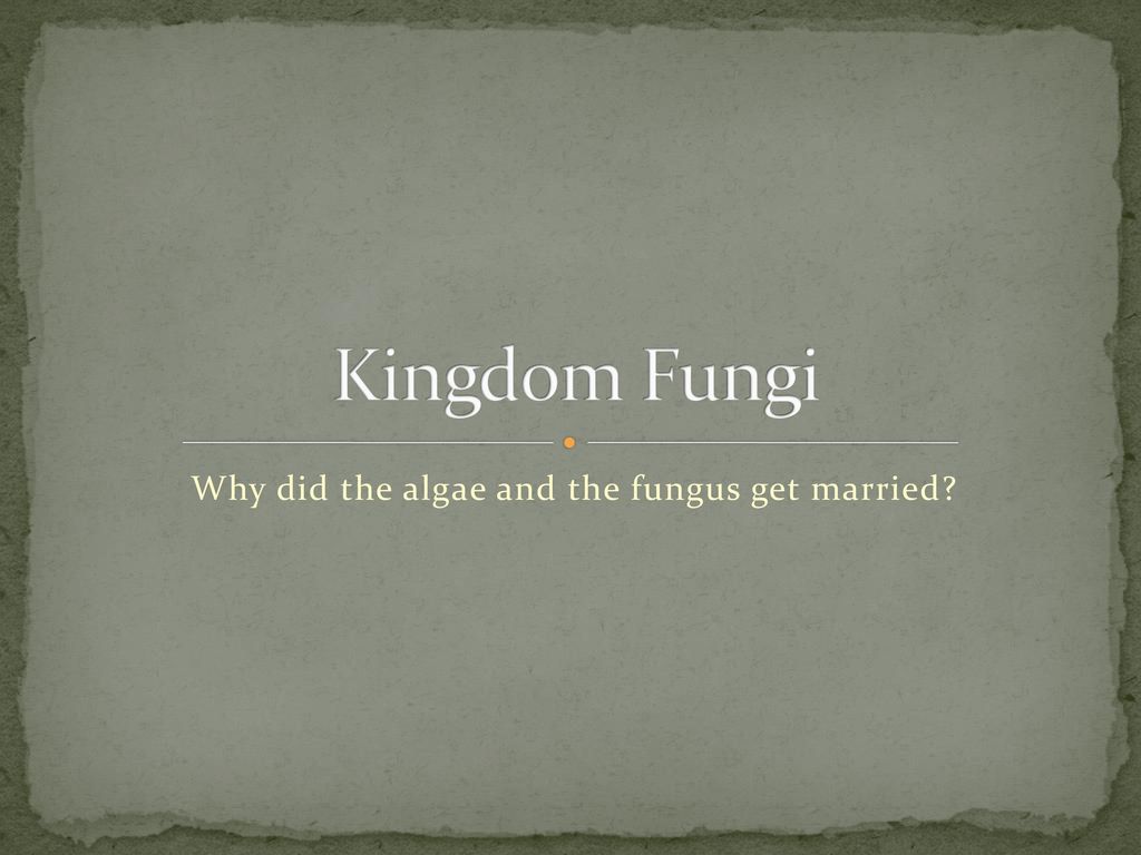 Why did the algae and the fungus get married