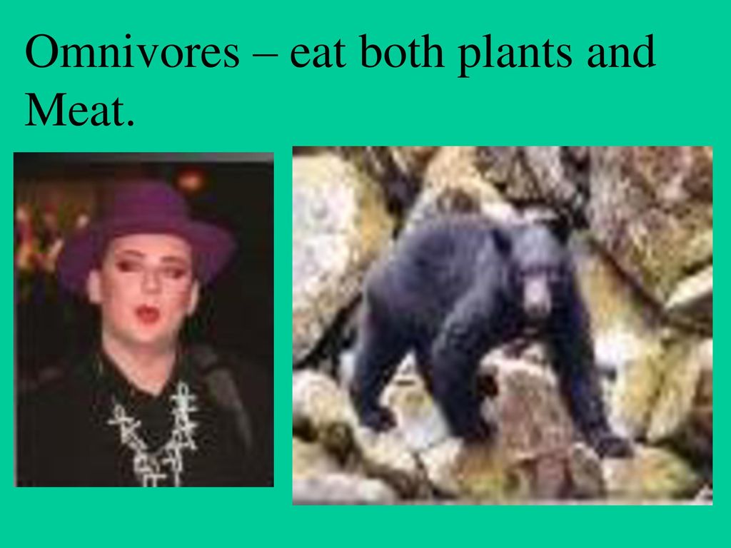 ppt download Biology Diagrams
