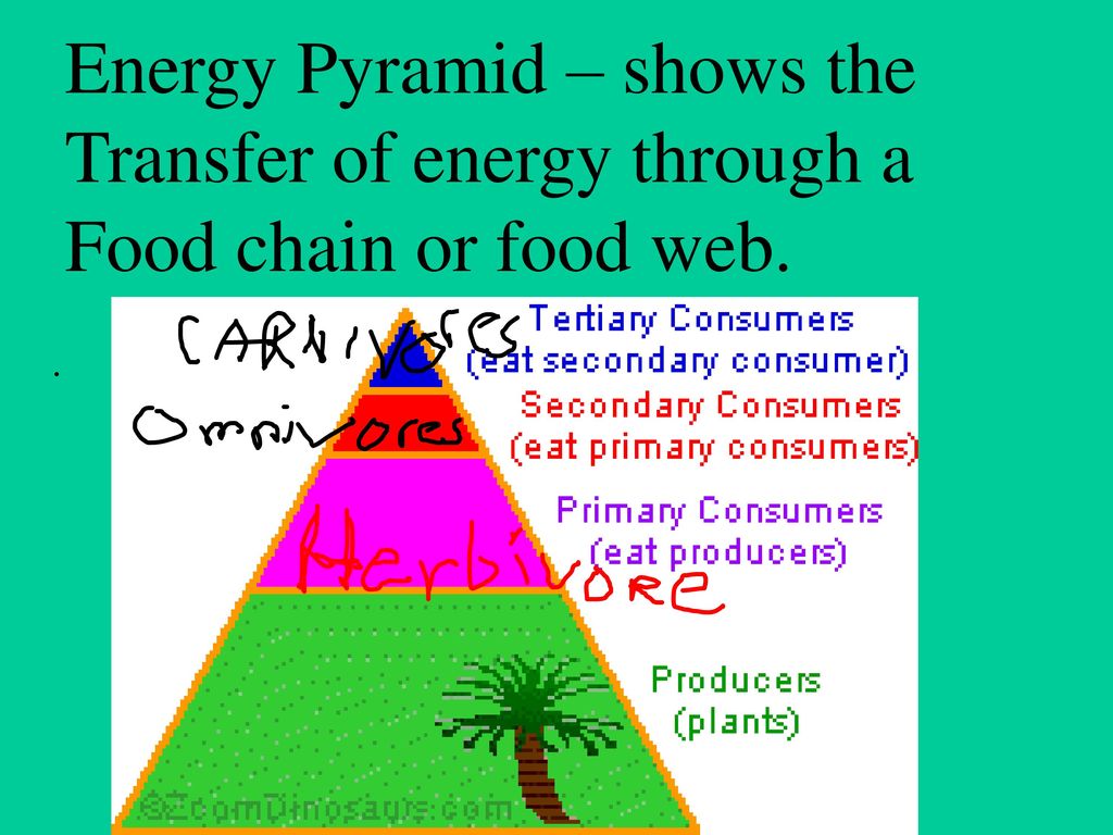 ppt download Biology Diagrams