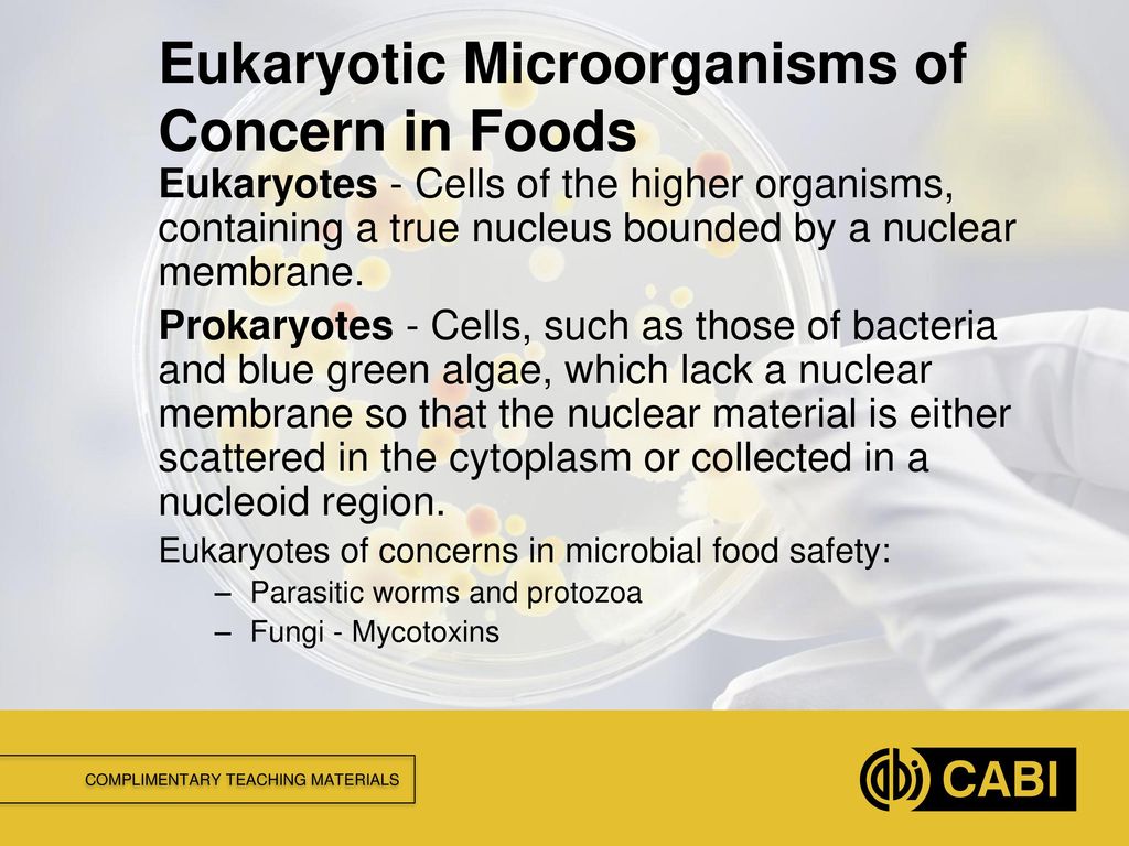 MICROBIAL FOOD SAFETY A FOOD SYSTEMS APPROACH Biology Diagrams