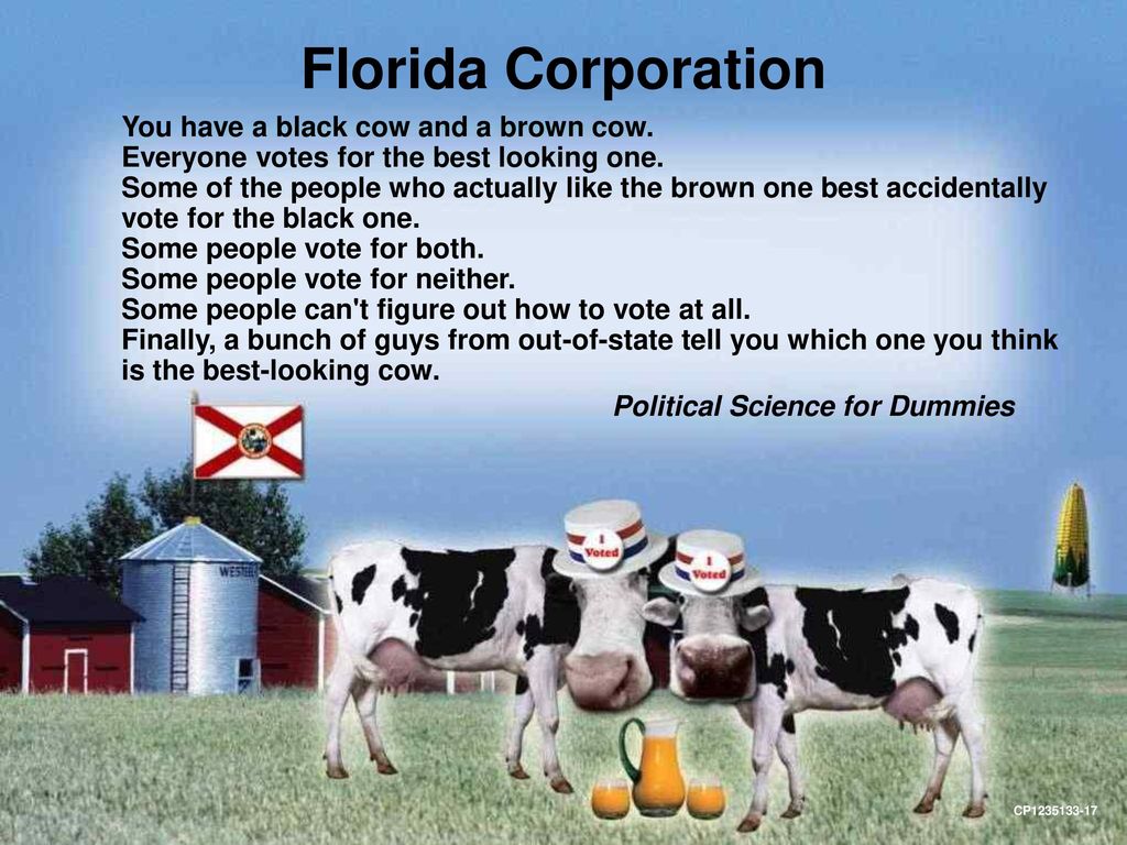 Florida Corporation You have a black cow and a brown cow.
