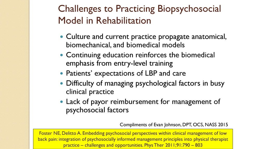 Biopsychosocial Approach to Primary Spine Care - ppt download