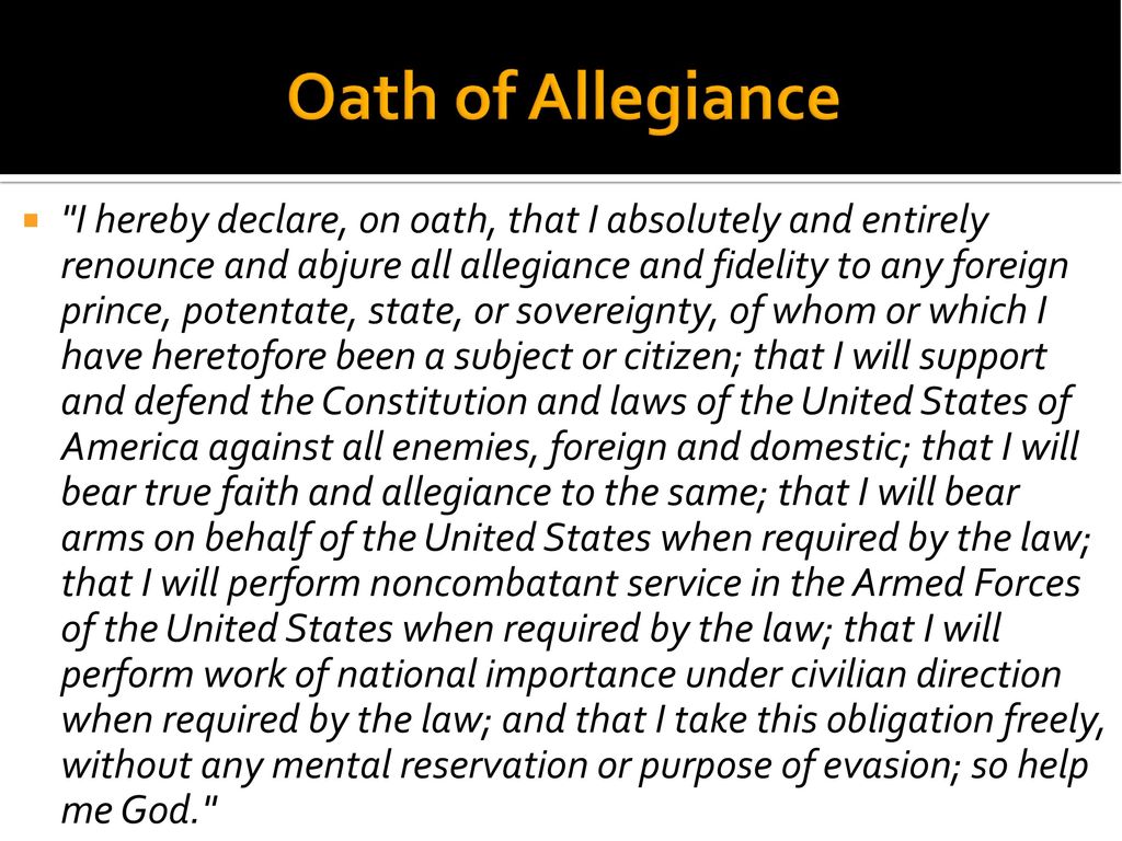 Civics Principles Citizenship Ppt Download civics-principles-citizenship-ppt-download